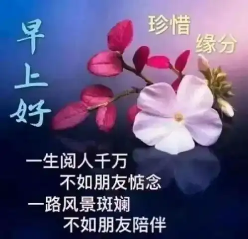 12条暖心祝福别人给不了的,就自己挣回来