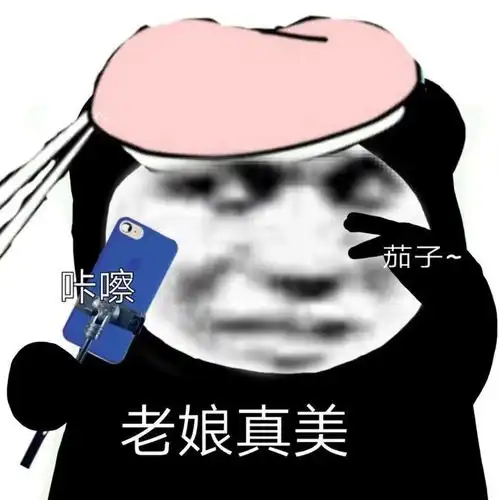 沙雕熊猫表情包我捡垃圾养你啊