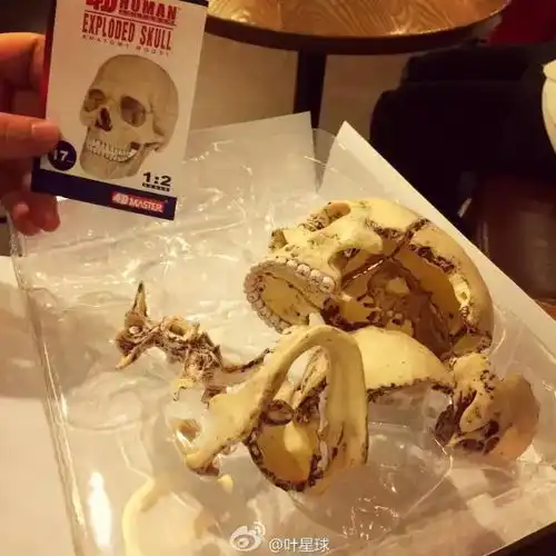 精品都市互动七夕节你收到了什么礼物