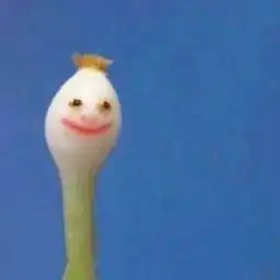 梓画的微博微博