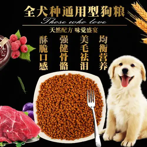 狗粮通用型泰迪金毛萨摩比熊土狗幼犬成犬大型中型小型犬10斤5斤