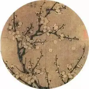 中国式养生,老外都为之倾倒