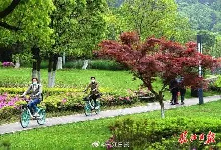 绿意盎然丨行摄武汉