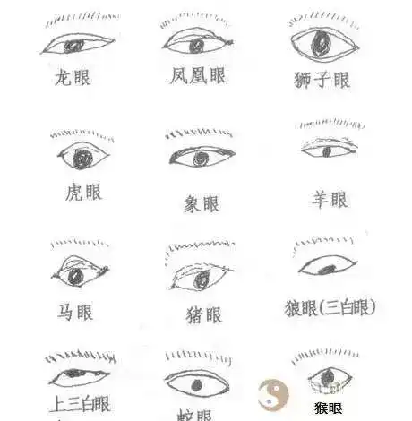 钱宇鸿说面相如何看眼识富贵从眼读出一生的运程