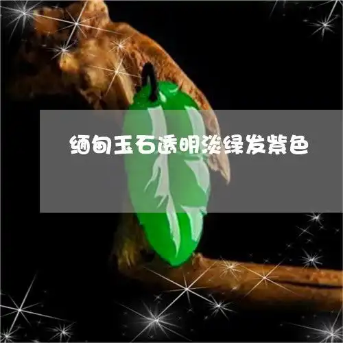 缅甸玉石透明淡绿发紫色缅甸玉的颜色深的好还是透明的好