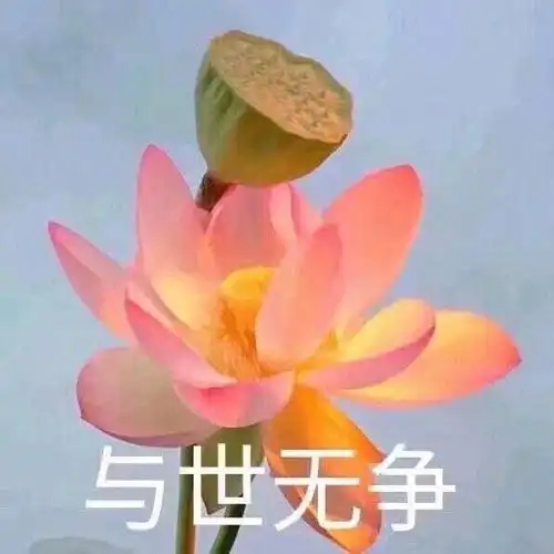 如何屏蔽微信头像不让父母看见