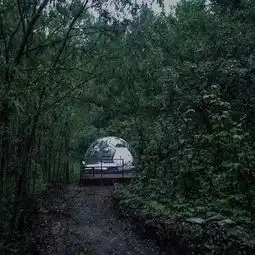 在北京的森林里,居然有一座透明泡泡屋