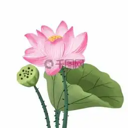 图片免费下载手荷花素材手荷花模板千图网