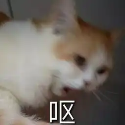 世界一级棒壁纸头像表情only4u