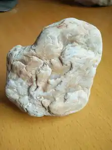 我的这块石头像那种动物像不像老虎和狼