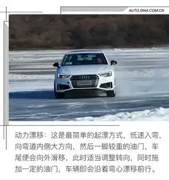 让壁虎横着走奥迪冰雪嘉年华试驾体验