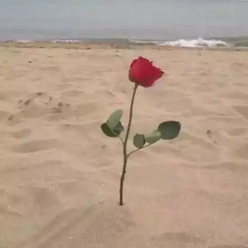 测试一个超长简介的文章