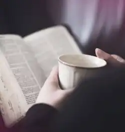 对,我打算日更了,起点高为什么不试试