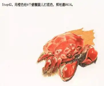 彩铅手绘入门手绘美食大闸蟹,零基础彩铅画入门教程