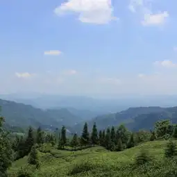 秘境之旅屏山老君山登山记