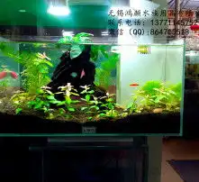 黄页88高清图片