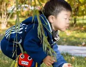 姓刘男孩两全其美幸福美满好听名字大全