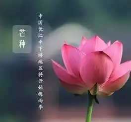 仲夏来临莲花池公园的荷花开啦