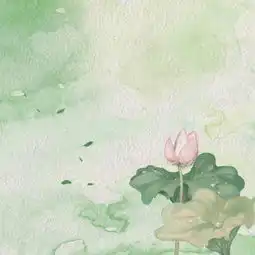淡雅荷花纹理服装主图背景图片免费下载千库网