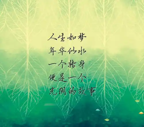 随想录四人生如梦,一尊还酹江月