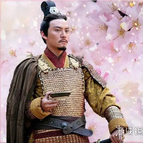三国志13明星替换计划第三弹