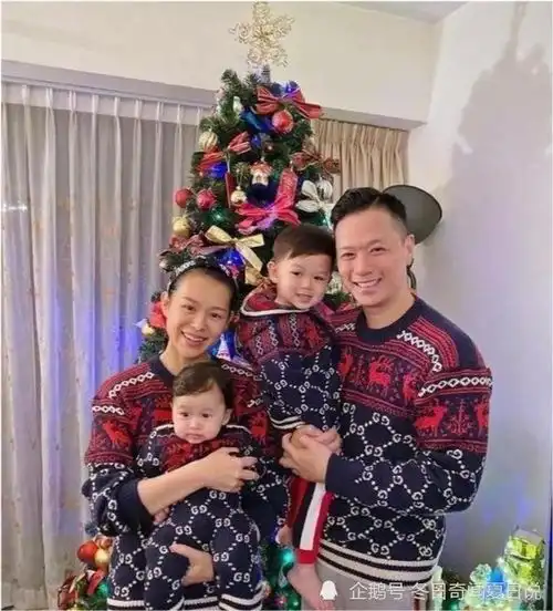 生了两个儿子还不够,胡杏儿又怀上第三胎,网友太羡慕五口之家