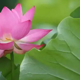 测试一个超长简介的文章