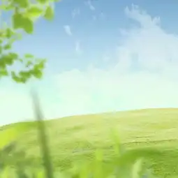 不要记住我来过的美拍