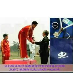 这是哪个冠军啊