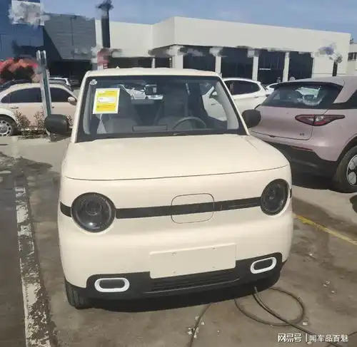 2025款吉利熊猫mini元气熊到店,外观调整,自带小尾翼,配置升级