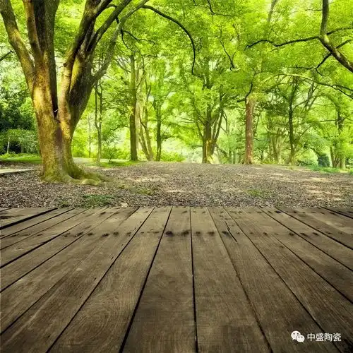 让个空间给木纹砖浪起来