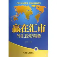 赢在汇市外汇投资精要