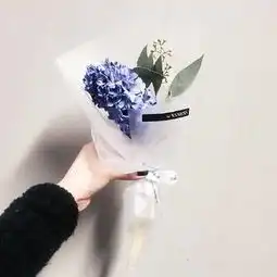 有没有人有这种qq头像,有发给我背景是白的,就一只手拿着一朵花很小清新,之前网上有,但我找不