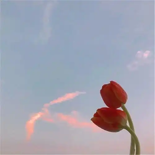 网易云热评结婚那天,男同桌给我张纸条,以为是祝福