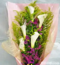 芬之礼品提供花篮花束果篮等服务