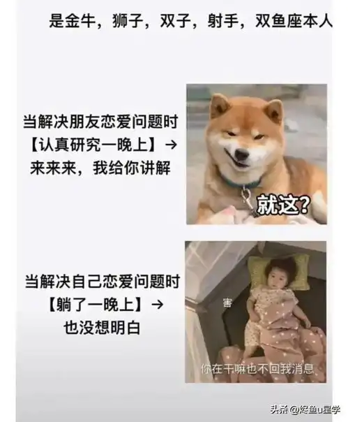 感情里能够无限包容伴侣的星座因为爱,所以愿意低头