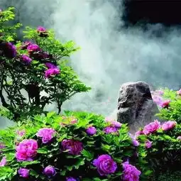 测试一个超长简介的文章