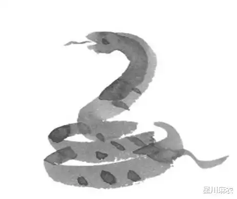 4.154.21日属兔属龙属蛇运势提点,属蛇大展拳脚,积极落实
