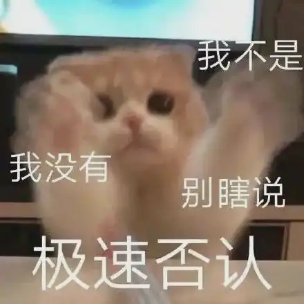妈别用猫做微信头像不吉利