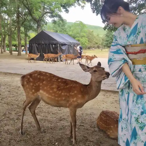 奈良和服初体验
