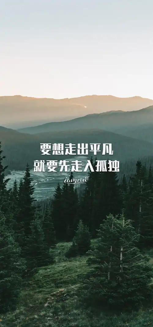 考研考试前决定弃考,没有去考场,后来你后悔了吗