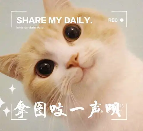 lucky和小号一起换的情头