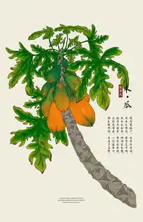 古风水果