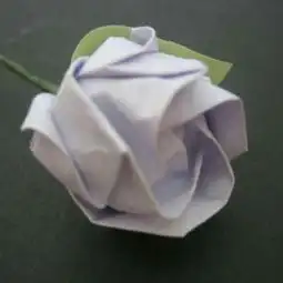我是复旦大学临床药学博士生,如何正确用药...澎湃新闻thepaper