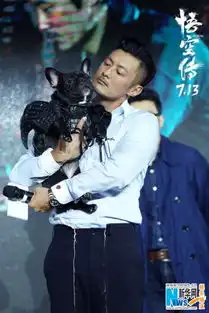 悟空传首映彭于晏余文乐拼眼技郑爽喊话欧豪