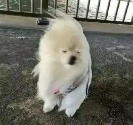测试一个超长简介的文章