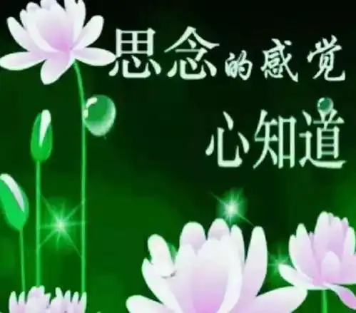 有些人不属于你,但遇见了也挺好道理