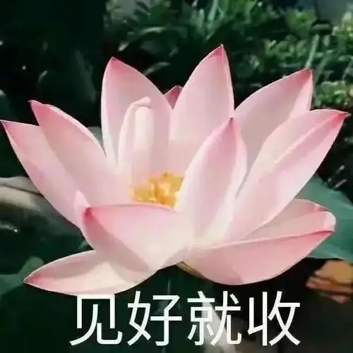 从18线俗气脸美成浓郁小公主,这个思路请反复背诵800遍