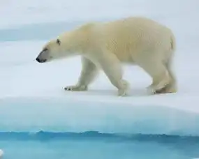 桂林水缤纷海洋王国开业了992大2小无需预约