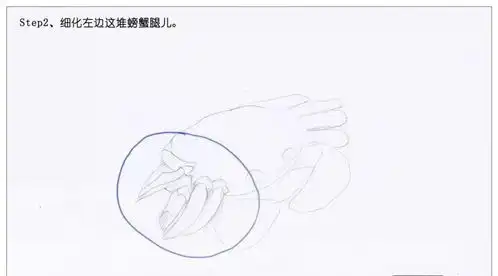彩铅手绘入门手绘美食大闸蟹,零基础彩铅画入门教程